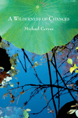 a wilderness of chances by michael cervas cover image